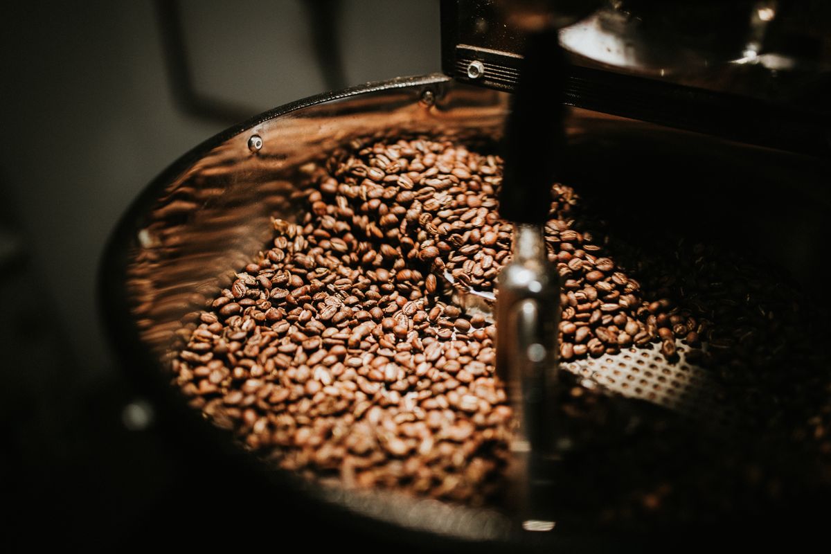 Green coffee samples sorted before roasting at RoastRush